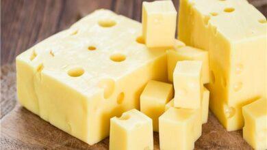الجبنة الرومي في المنزل بمكونات موجودة في مطبخك ستصنعيها أفضل من المحلات