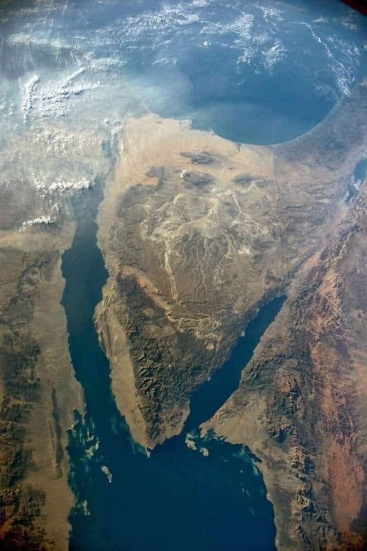 مصر ... عندما يتحدث التاريخ