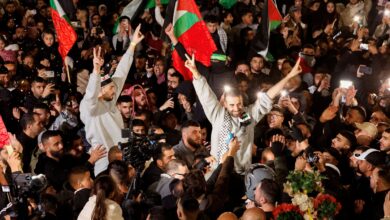 مصر تشارك المجتمع الدولي في إحياء اليوم العالمي للتضامن مع فلسطين