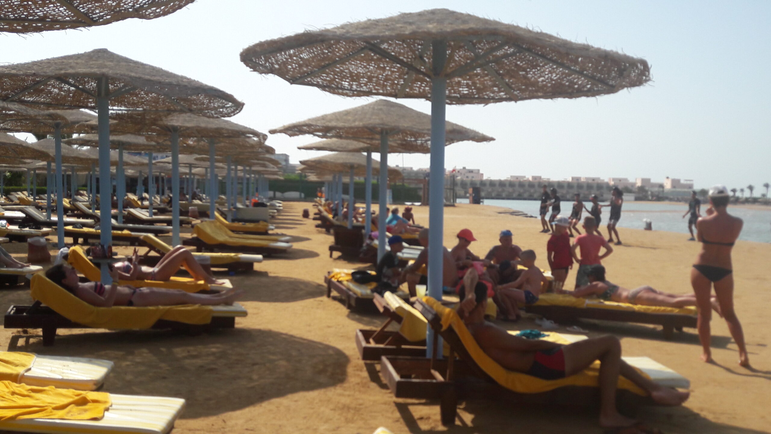 مصر تستضيف 450 وكيلًا سياحيًا ألمانيًا في الغردقة لتعزيز السياحة