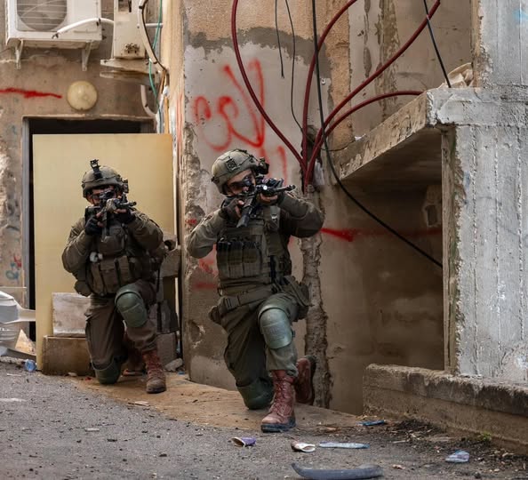 "إجراء البعوض".. الاحتلال الإسرائيلي يستخدم المسنين دروعًا بشرية في غزة 1 "إجراء البعوض".. الاحتلال الإسرائيلي يستخدم المسنين دروعًا بشرية في غزة