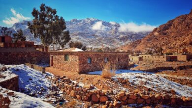 الأرصاد الجوية تحذر من طقس شديد البرودة اليوم السبت والصغرى تسجل 9 درجات 2 الأرصاد الجوية تحذر من طقس شديد البرودة اليوم السبت والصغرى تسجل 9 درجات