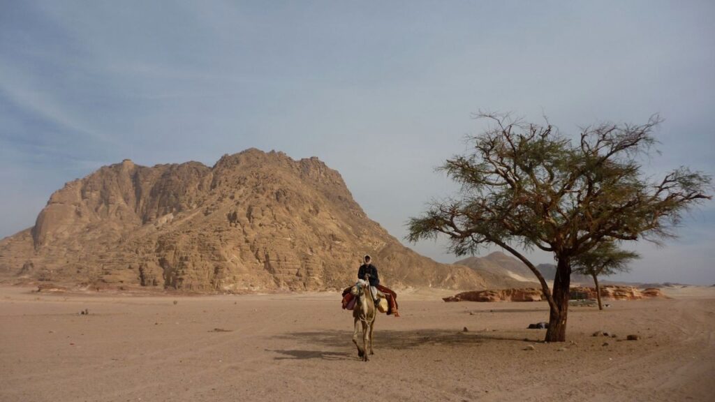 جنوب سيناء.. رحلة ساحرة من قمم الجبال إلى شواطئ الرمال الذهبية | صور