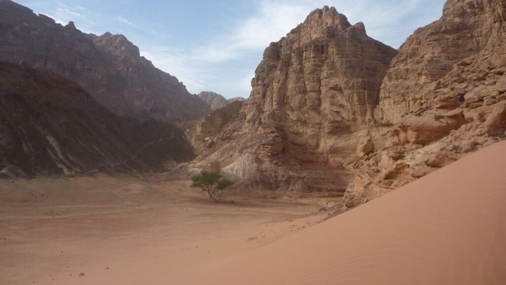 جنوب سيناء.. رحلة ساحرة من قمم الجبال إلى شواطئ الرمال الذهبية | صور