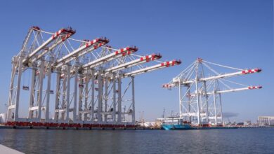 ميناء دمياط يستقبل 11 ألف طن سكر و2525 طن قمح خلال 24 ساعة