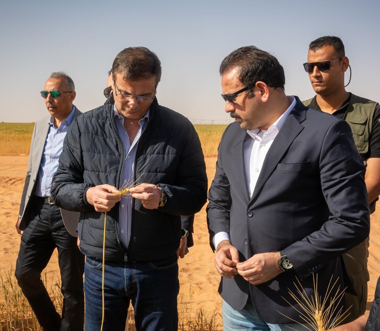 وزير الزراعة يتابع زراعة القمح في 200 ألف فدان مستصلحة بشرق العوينات 1 وزير الزراعة يتابع زراعة القمح في 200 ألف فدان مستصلحة بشرق العوينات
