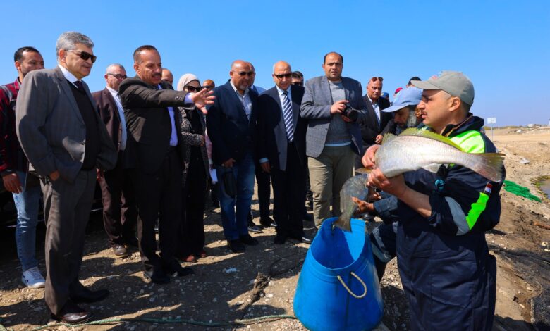 رئيس هيئة قناة السويس: التشغيل التجريبي لمصنع تعبئة الأسماك والجمبري بطاقة 7 أطنان يوميًا