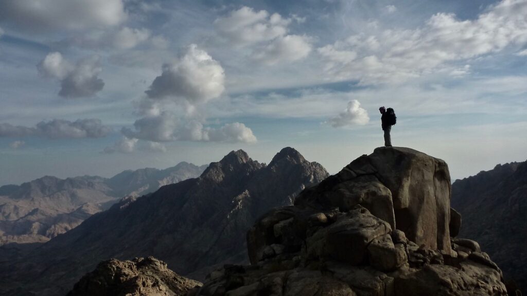 الشيخ محمد سيد طنطاوي يشرح معنى كلمة "سيناء" والشجرة المباركة في القرآن