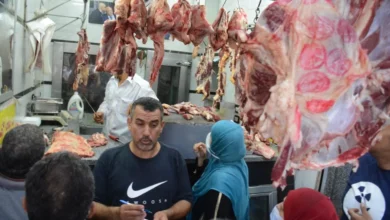أسعار اللحوم في الأسواق والمنافذ الحكومية اليوم الأحد 9 نوفمبر 2025 4 أسعار اللحوم في الأسواق والمنافذ الحكومية اليوم الأحد 9 نوفمبر 2025