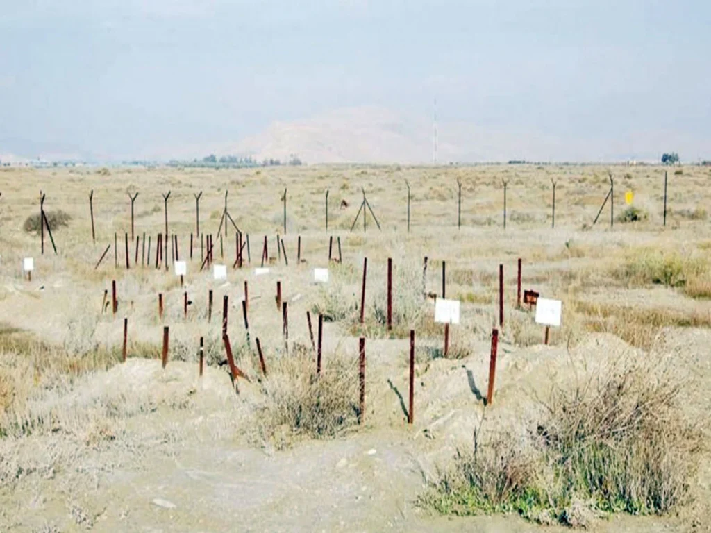 1500 جثمان محتجز.. إسرائيل تخفي جثامين الفلسطينيين وتنتهك الإنسانية قبل القانون 2 1500 جثمان محتجز.. إسرائيل تخفي جثامين الفلسطينيين وتنتهك الإنسانية قبل القانون