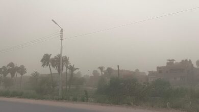 الأرصاد تعلن طقس الخميس 5 فبراير 2026.. ارتفاع تدريجي في الحرارة ورياح مثيرة للأتربة