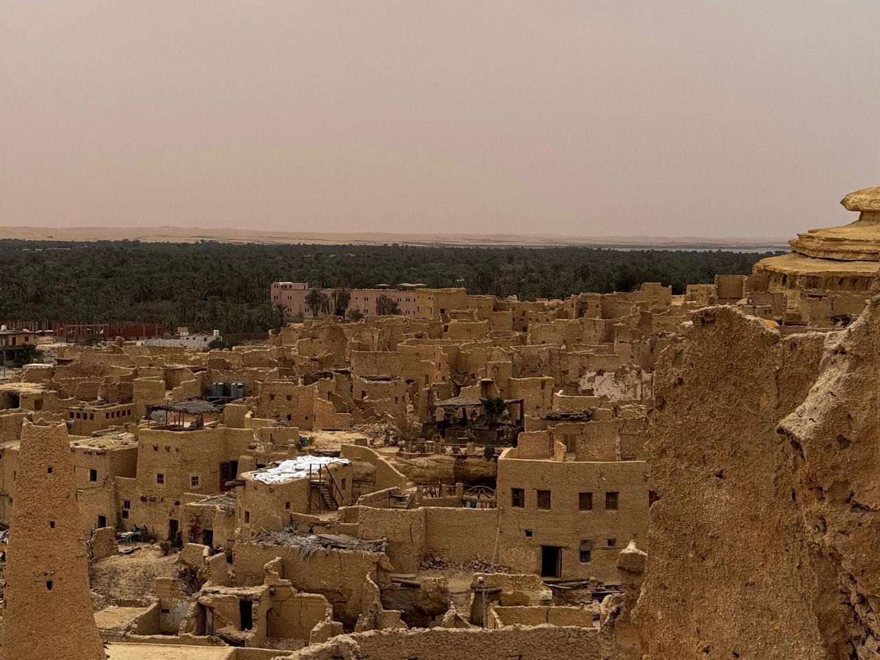 سيوة أعجوبة الصحراء الغربية.. تناغم الطبيعة والتاريخ في واحة الغروب