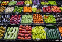 أسعار الجملة اليوم: تراجع ملموس في أسعار الطماطم والكوسة.. تعرف على قائمة الأسعار