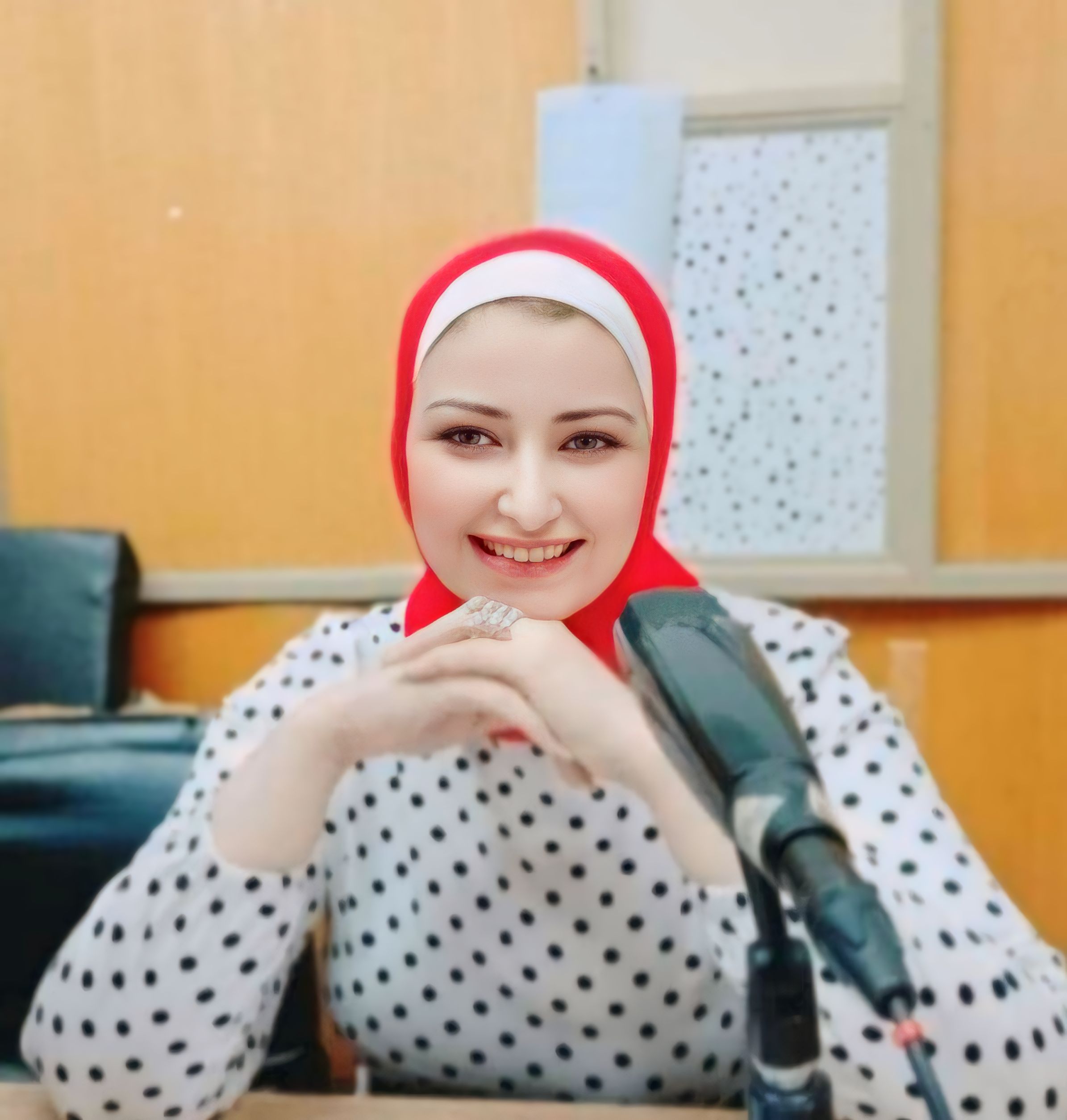 الإذاعية أميرة سليمان تكتب: نداء عاجل لتطهير الإعلام المصري واستعادة هيبته