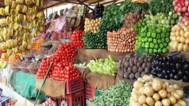 التضخم بين 13.9% و15%.. الأسواق المصرية تترقب قراءة أغسطس بعد خفض الفائدة 2%