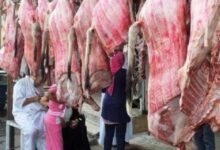 الصحة تقدم نصائح طبية مهمة لاختيار الأضحية وطهي اللحوم في العيد