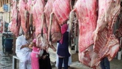 الصحة تقدم نصائح طبية مهمة لاختيار الأضحية وطهي اللحوم في العيد