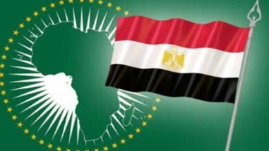 في يوم إفريقيا.. مصر تتألق بقيادة التنمية والتكامل في القارة السمراء