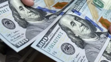 الدولار يتراجع 3 قروش أمام الجنيه منتصف تعاملات الثلاثاء 6 مايو 2025