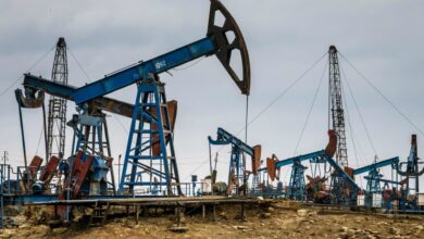 وزارة البترول تعلن عن 3 اكتشافات نفطية جديدة بالصحراء الغربية وخليج السويس
