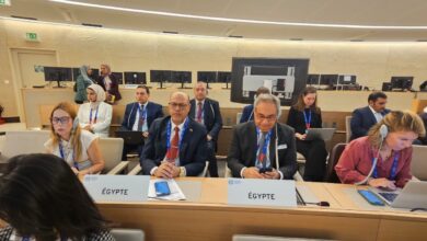 منظمة العمل الدولية تعتمد قراراً تاريخياً برفع عضوية فلسطين إلى "دولة مراقب"