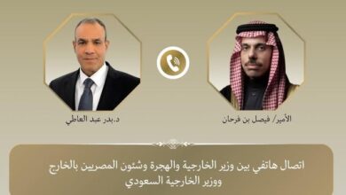 اتصال هاتفي بين وزيري خارجية مصر والسعودية يؤكد عمق العلاقات الثنائية