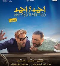 11 مليون جنيه في 3 أيام.. فيلم "أحمد وأحمد" يجمع بين الكوميديا والأكشن