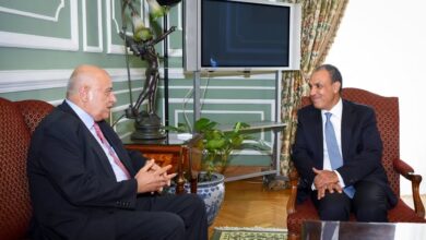 وزير الخارجية: مصر تستعد لاستضافة المؤتمر الدولي للتعافي وإعادة الإعمار في غزة