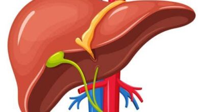 أطعمة تدعم صحة الكبد.. 7 عناصر غذائية ترفع كفاءته وتحميه من التلف