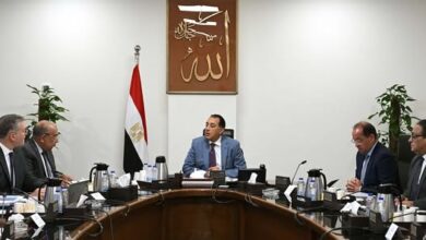 الحكومة تعتمد تمويلات جديدة لتوفير وقود الكهرباء وتسوية مديونيات الجهات الحكومية لشركات الكهرباء