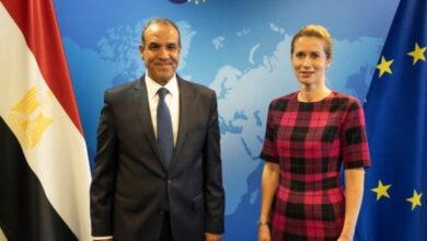 وزير الخارجية يبحث مع ممثلة الشئون الخارجية للاتحاد الأوروبي جهود مصر لوقف إطلاق النار في غزة