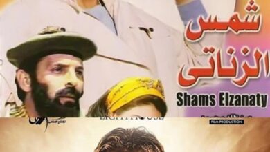 عودة الأجزاء الثانية للسينما.. الفيل الأزرق ومافيا وشمس الزناتي يتصدرون قائمة الأفلام