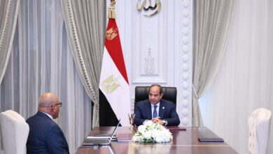 الرئيس السيسي يتابع مشروعات "العربية للتصنيع" والهيئة تنتج 28 ألف سيارة سيتروين C4X