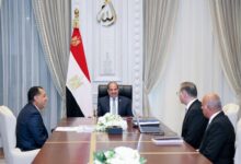 السيسي: زيادة إنتاج الكهرباء وتعزيز بيئة الاستثمار في صلب استراتيجية تطوير قطاع البترول