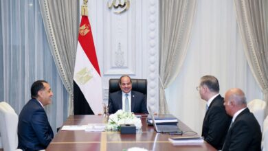 السيسي: زيادة إنتاج الكهرباء وتعزيز بيئة الاستثمار في صلب استراتيجية تطوير قطاع البترول