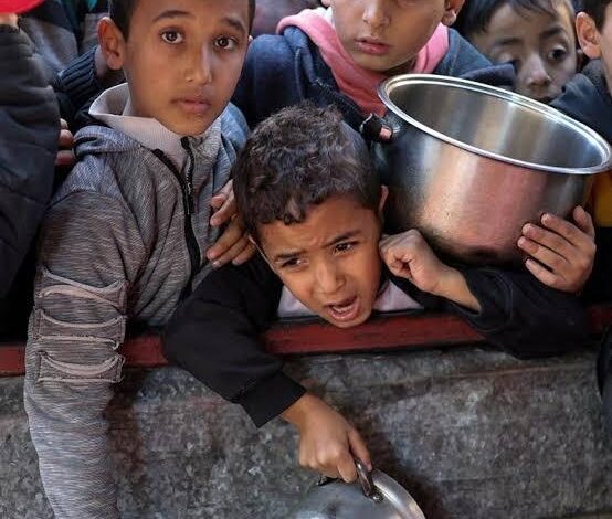 الصحة في غزة: ارتفاع ضحايا المجاعة وسوء التغذية إلى 122 وفاة بينهم 83 طفلًا 1 الصحة في غزة: ارتفاع ضحايا المجاعة وسوء التغذية إلى 122 وفاة بينهم 83 طفلًا