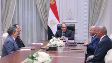 السيسي يتابع مشروعات النقل والصناعة.. تطوير 7 موانئ وخطي سكة حديد بسيناء