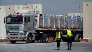 مصر تؤكد ثوابتها تجاه غزة.. 80% من المساعدات الإنسانية مصدرها القاهرة