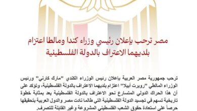 مصر ترحب بإعلان كندا ومالطا الاعتراف بالدولة الفلسطينية: خطوة تاريخية