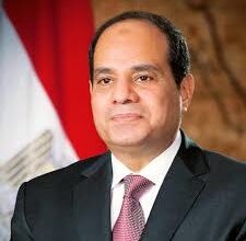 السيسي يصدر قرارين بتعيين مستشار لرئيس الجمهورية للشئون المالية ونائب لرئيس مجلس إدارة هيئة قناة السويس