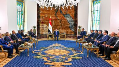 السيسي يؤكد دعم مصر الكامل لاستقرار السودان ووحدته خلال لقاء كامل ادريس
