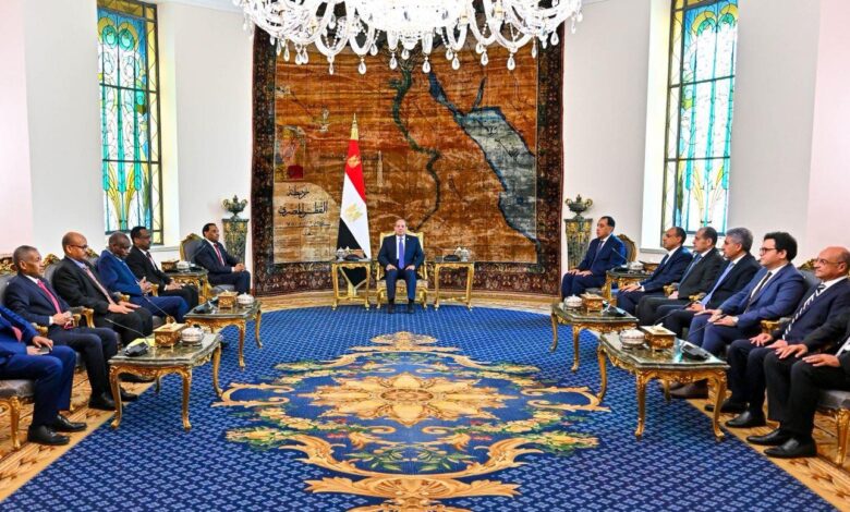 السيسي يؤكد دعم مصر الكامل لاستقرار السودان ووحدته خلال لقاء كامل ادريس