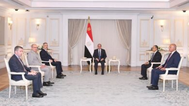 السيسي يستقبل وزير الخارجية التركي.. تأكيد على شراكة استراتيجية وتوافق حول القضايا الإقليمية