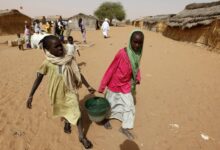 25 مليون سوداني يواجهون الجوع.. الفاشر تحت القصف وبرنامج الأغذية العالمي يحذر من مجاعة وشيكة