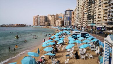 الأرصاد الجوية: طقس معتدل حار الخميس ودرجة الحرارة 28 في الإسكندرية