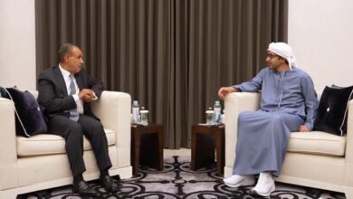 وزيرا خارجية مصر والإمارات يبحثان تعزيز الشراكة الاقتصادية ويدينان العدوان الإسرائيلي على غزة والدوحة