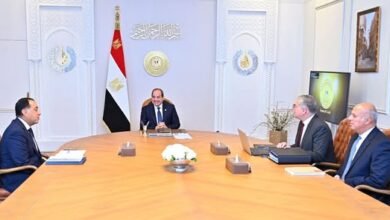 السيسي يوجّه بمواصلة تطوير الاكتشافات البترولية وتعزيز مكانة مصر كمركز إقليمي للطاقة