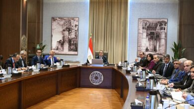 مدبولي يتابع مع الوزراء تنفيذ مشروعات القطار الكهربي السريع والمونوريل