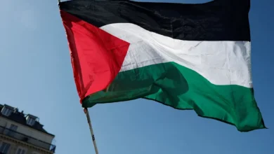 أمريكا تصف الاعتراف الدولي بفلسطين بأنه استعراضي وتؤكد تمسكها بالدبلوماسية
