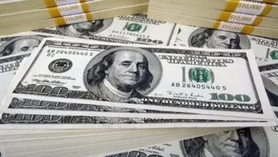 استقرار سعر الدولار أمام الجنيه في البنوك المصرية صباح الثلاثاء 30 سبتمبر 2025